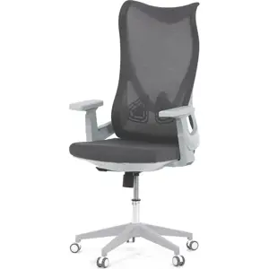 Produkt Autronic Židle kancelářská KA-S248 GREY