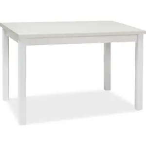 Produkt Casarredo Jídelní stůl ADAM 100x60 bílá mat