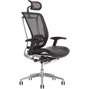 Produkt Office Pro Kancelářská židle LACERTA - IW-01, černá
