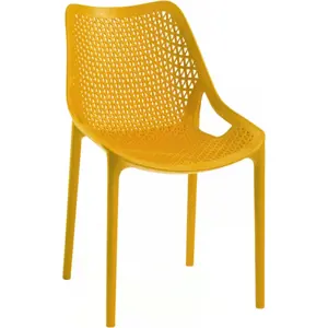 Produkt Rojaplast Židle BILROS - hořčicově žlutá