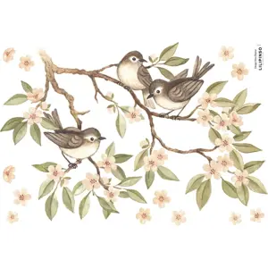 Produkt Arch samolepek 30x42 cm Branch And Sparrows – Lilipinso