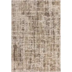 Béžový koberec 240x340 cm Kuza – Asiatic Carpets