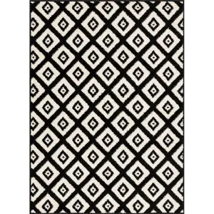 Produkt Černobílý koberec 200x280 cm Avanti – FD
