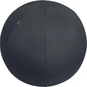 Produkt Ergonomický sedací míč se závažím ø 65 cm Ergo – Leitz