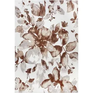 Hnědý koberec 120x170 cm Shine Floral – Hanse Home