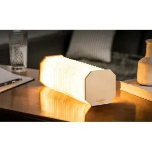 Produkt LED stmívatelná stolní lampa v hnědé a světle hnědé barvě (výška 3,5 cm) Accordion – Gingko