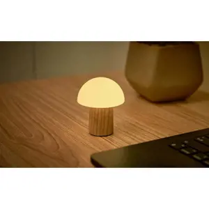 Produkt LED stmívatelná stolní lampa z jasanového dřeva v přírodní barvě (výška 7 cm) Alice – Gingko