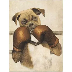 Nástěnný obraz na plátně Boxer, 30 x 40 cm