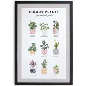 Produkt Nástěnný obraz v rámu Really Nice Things Indoor Plants, 30 x 40 cm