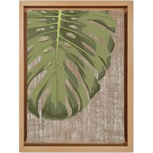 Obraz 36x46 cm Monstera – Wallity