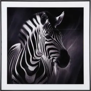 Obraz 50x50 cm Zebra – PT LIVING