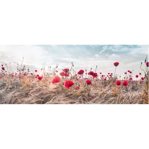 Produkt Obraz na plátně Styler Poppies, 60 x 150 cm