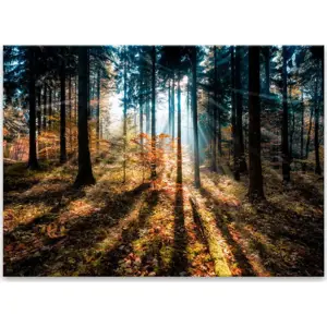 Obraz Styler Glasspik Autumn Sunset, 70 x 100 cm