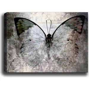 Produkt Obraz Tablo Center Fading Butterfly, 70 x 50 cm