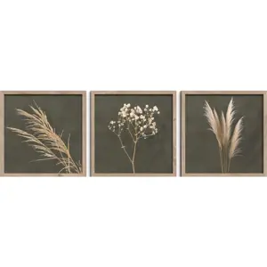 Obrazy v sadě 3 ks 30x30 cm Pampas – Styler