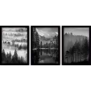 Obrazy v sadě 3 ks 35x45 cm Black & White – Wallity