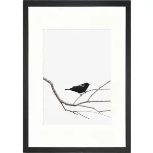 Plakát 24x29 cm Bird on the Branch – Tablo Center