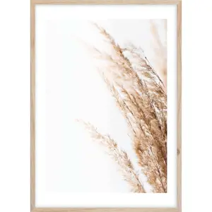 Plakát v rámu 50x70 cm Beige II – Styler