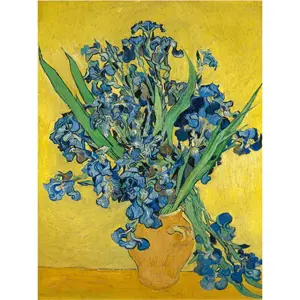 Reprodukce obrazu Vincenta van Gogha - Irises, 60 x 45 cm