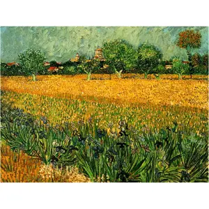 Reprodukce obrazu Vincenta van Gogha - View of arles with irises in the foreground, 40 x 30 cm