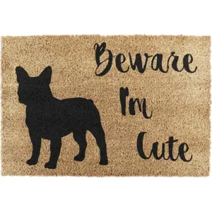 Produkt Rohožka z kokosového vlákna 40x60 cm Beware I'm Cute French Bulldog – Artsy Doormats