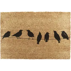 Rohožka z kokosového vlákna 40x60 cm Birds On a Wire – Artsy Doormats