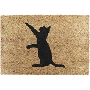 Produkt Rohožka z kokosového vlákna 40x60 cm Cat – Artsy Doormats