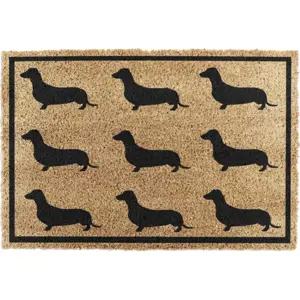 Produkt Rohožka z kokosového vlákna 40x60 cm Dachshund – Artsy Doormats