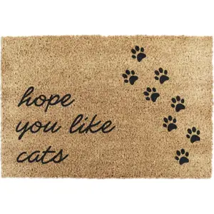 Rohožka z kokosového vlákna 40x60 cm Hope You Like Cats – Artsy Doormats