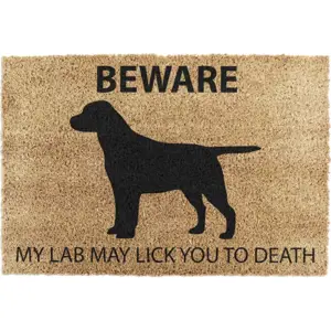 Produkt Rohožka z kokosového vlákna 40x60 cm Labrador – Artsy Doormats