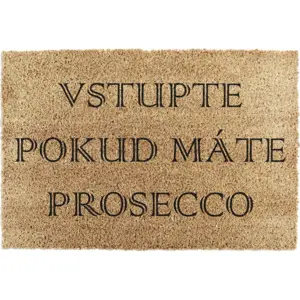 Produkt Rohožka z kokosového vlákna 40x60 cm Prosecco – Artsy Doormats