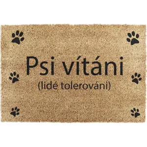 Rohožka z kokosového vlákna 40x60 cm Psi vítáni – Artsy Doormats