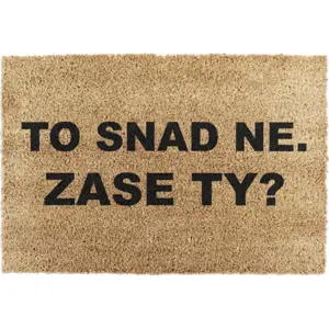 Rohožka z kokosového vlákna 40x60 cm Zase Ty? – Artsy Doormats