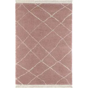 Produkt Růžový koberec 80x150 cm Bertha – Hanse Home