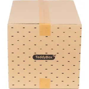 Sada 2 béžových úložných boxů Compactor Teddy, 42 x 30 cm