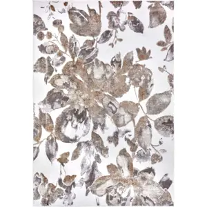 Šedo-hnědý koberec 120x170 cm Shine Floral – Hanse Home