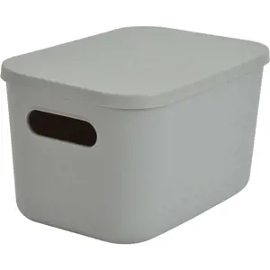 Produkt Šedý plastový úložný box s víkem 24,5x18x15 cm – Homéa