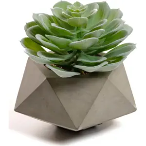 Umělá květina Echeveria Glaucha Kave Home