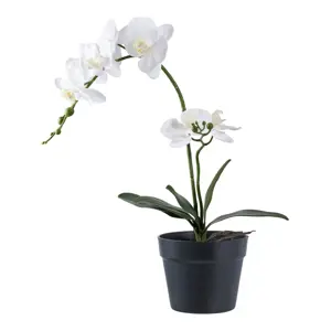 Produkt Umělá květina (výška 47 cm) Orchid – House Nordic