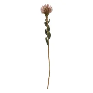 Umělá květina (výška 60 cm) Protea – PT LIVING