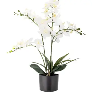 Umělá květina (výška 84 cm) Orchid – Bloomingville