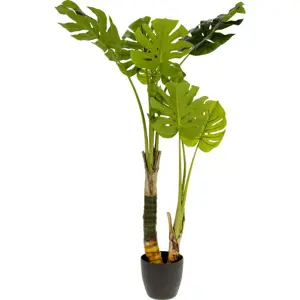 Umělá monstera (výška 130 cm) – Kave Home