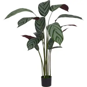 Umělá rostlina (výška 150 cm) Calathea – Ixia