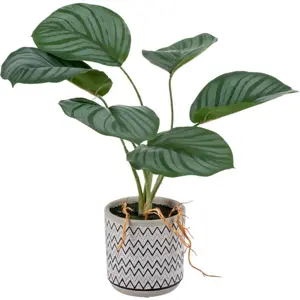 Umělá rostlina (výška 32 cm) Maranta – Ixia