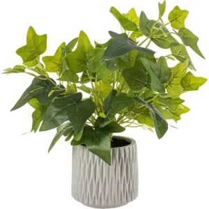 Umělá rostlina (výška 39 cm) Ivy – Ixia