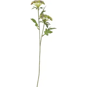 Produkt Umělá rostlina (výška 49 cm) Throatwort – Bloomingville