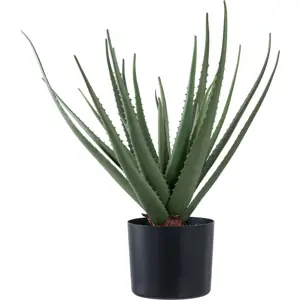 Umělá rostlina (výška 51 cm) Aloe Vera – House Nordic