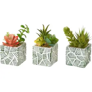 Umělé rostliny v sadě 3 ks (výška 12 cm) Cactus – Casa Selección