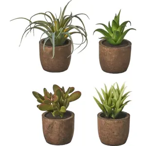 Produkt Umělé rostliny v sadě 4 ks (výška 10 cm) Cactus – Casa Selección