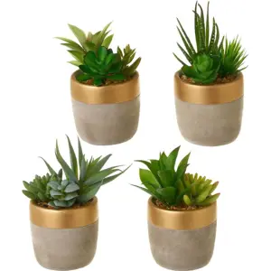 Umělé rostliny v sadě 4 ks (výška 17 cm) Cactus – Casa Selección